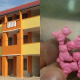 gula gula