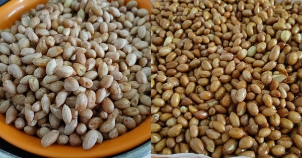kacang goreng
