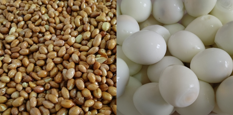 kacang goreng