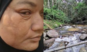 lata bukit hijau