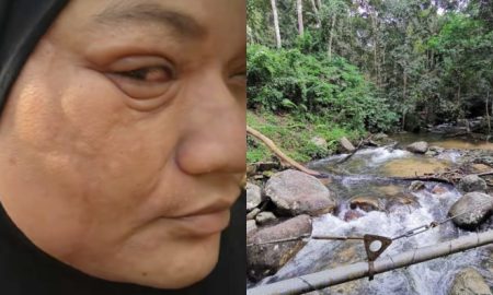 lata bukit hijau