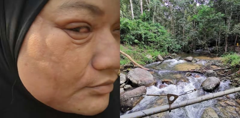 lata bukit hijau