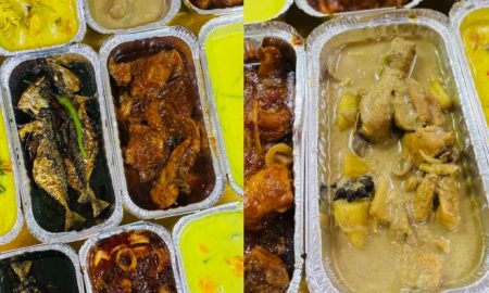 makanan frozen