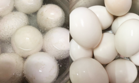 TELUR ITIK