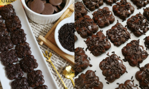 BISKUT RAYA COKLAT