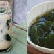 cincau hijau