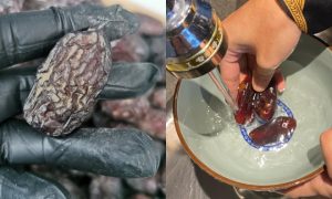 cuci buah kurma