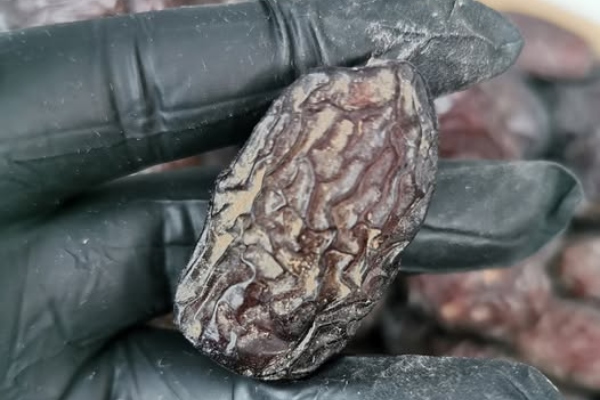 cuci buah kurma