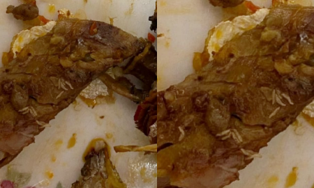 ikan cencaru berlada