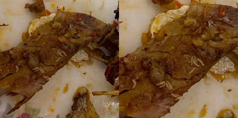 ikan cencaru berlada
