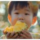 tip kuatkan ingatan anak
