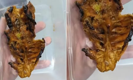 tulang ayam