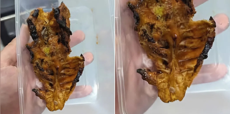 tulang ayam