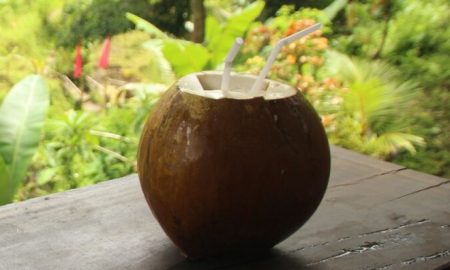 air kelapa