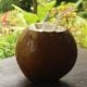 air kelapa