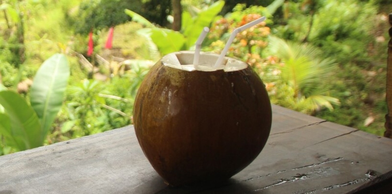 air kelapa