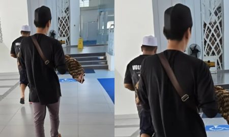 bayi lelaki