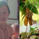 budak autistik hilang
