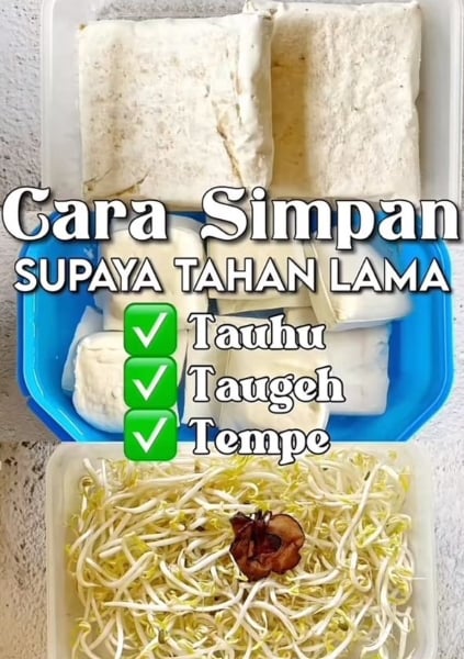 cara simpan tauge