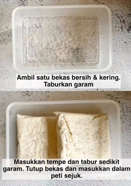 cara simpan tempe