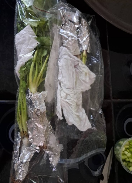 daun ketumbar