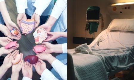 organ badan