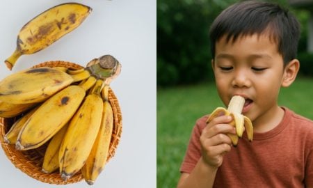 pisang mas
