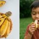 pisang mas