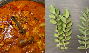 pokok daun kari