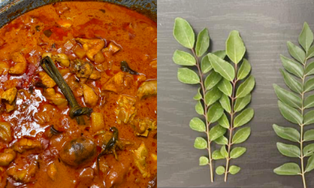 pokok daun kari