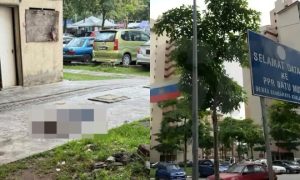 ppr batu muda