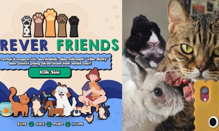 furever friends