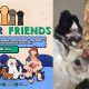 furever friends