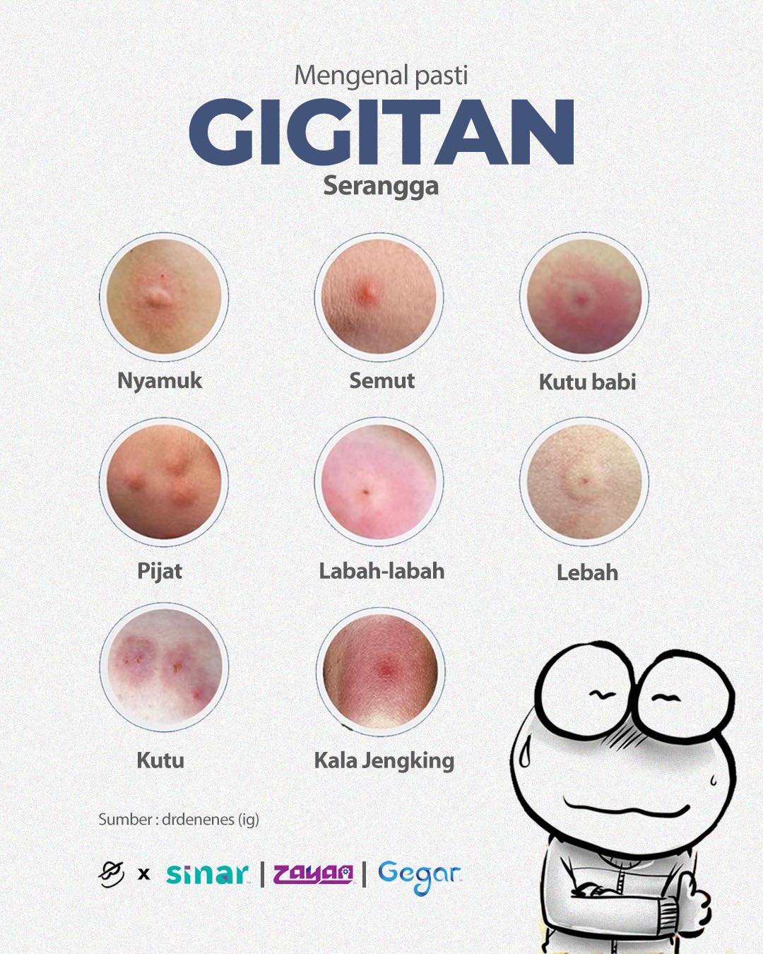 gigitan serangga