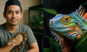 haiwan eksotik