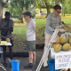 jual durian