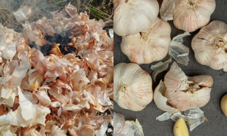 KULIT BAWANG PUTIH