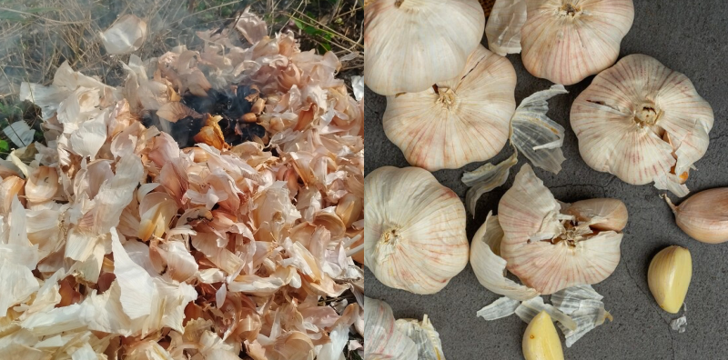 KULIT BAWANG PUTIH