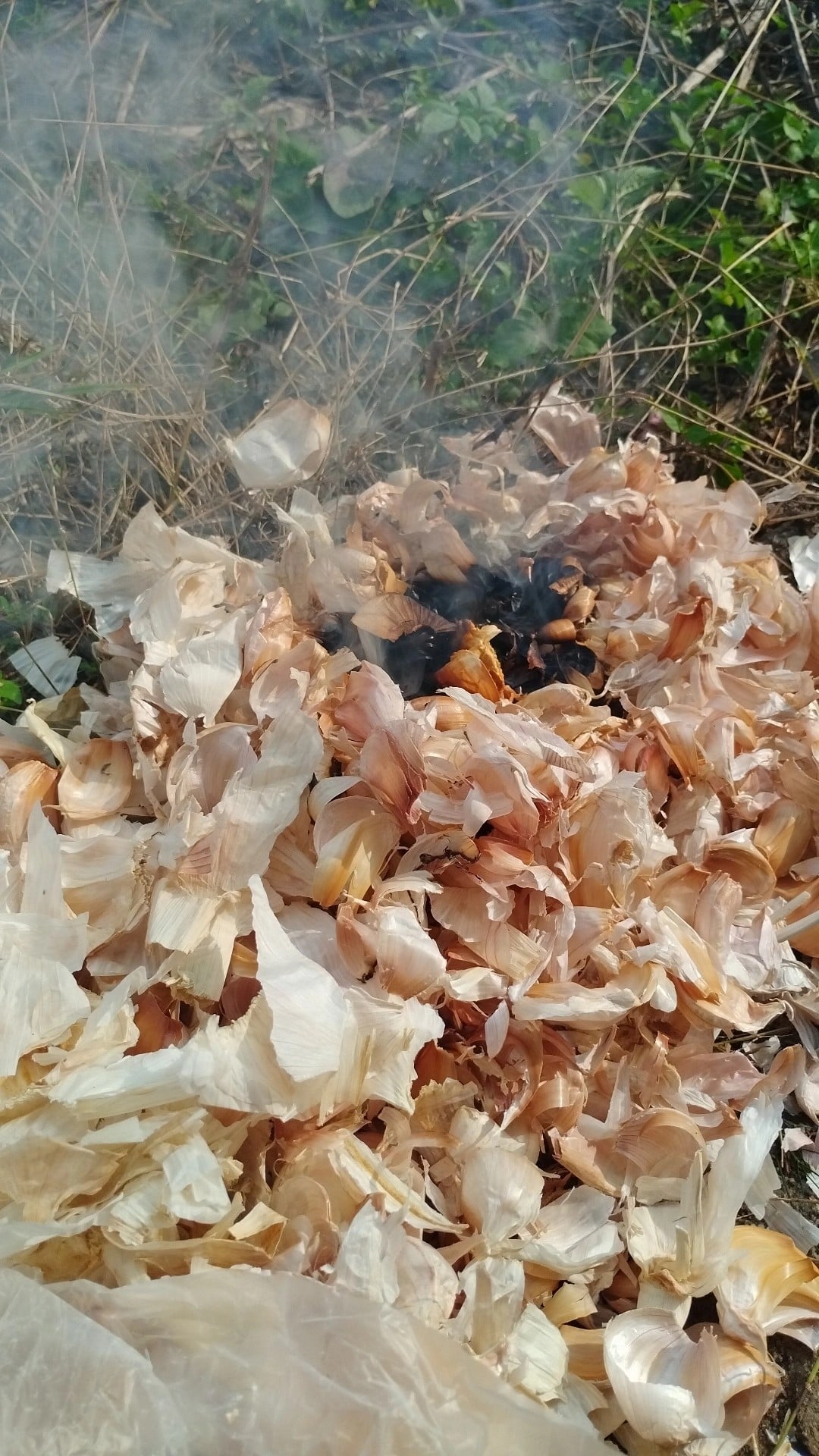 KULIT BAWANG PUTIH
