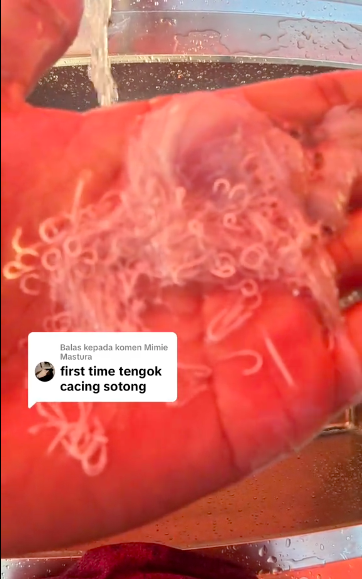 cara cuci sotong