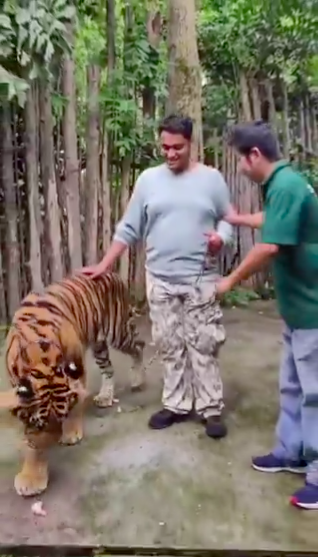 tiger kingdom phuket