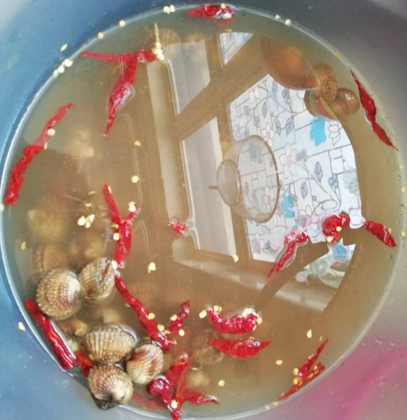 cara cuci kerang