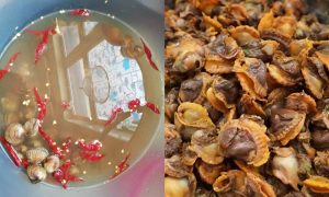 cara cuci kerang