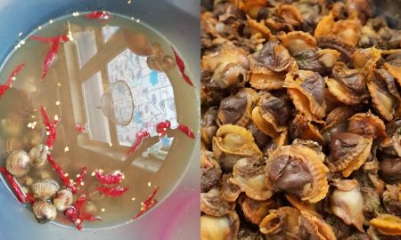 cara cuci kerang