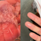 cara cuci sotong