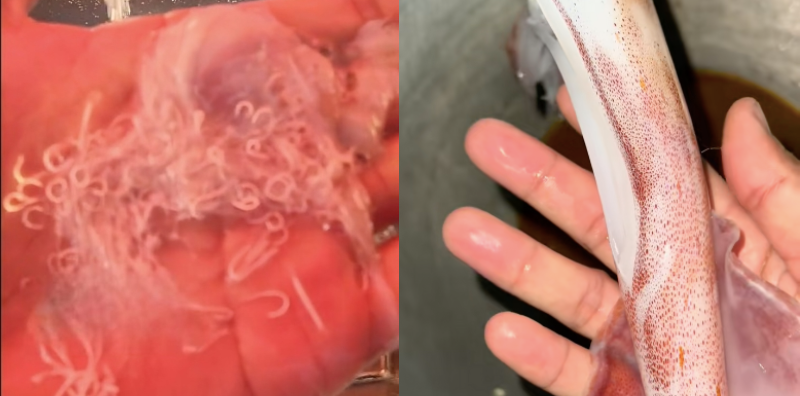 cara cuci sotong
