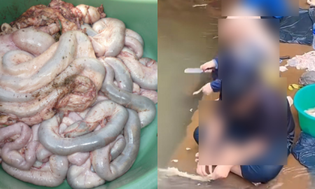CUCI PERUT LEMBU