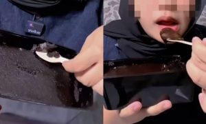 isu makanan berkulat