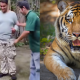 tiger kingdom phuket