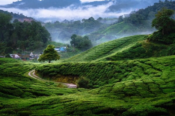 Lojing Highlands, Kelantan